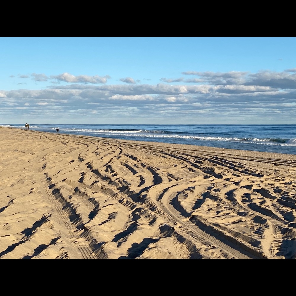 Meet your Posher, Frances